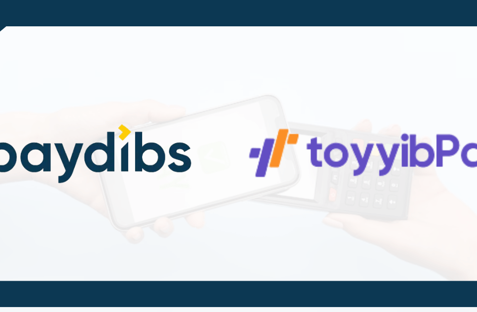 Paydibs vs ToyyibPay for Payment Gateway Malaysia